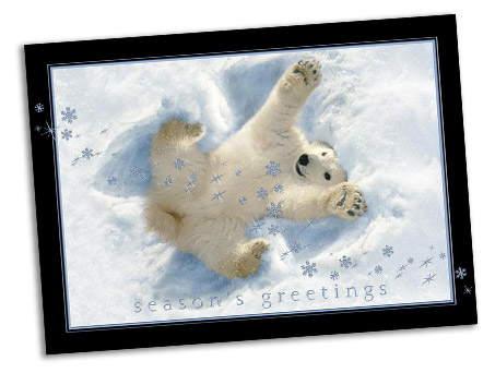 A gleeful polar bear is making a snow angel. The words 'Season's Greetings' are written underneath him.