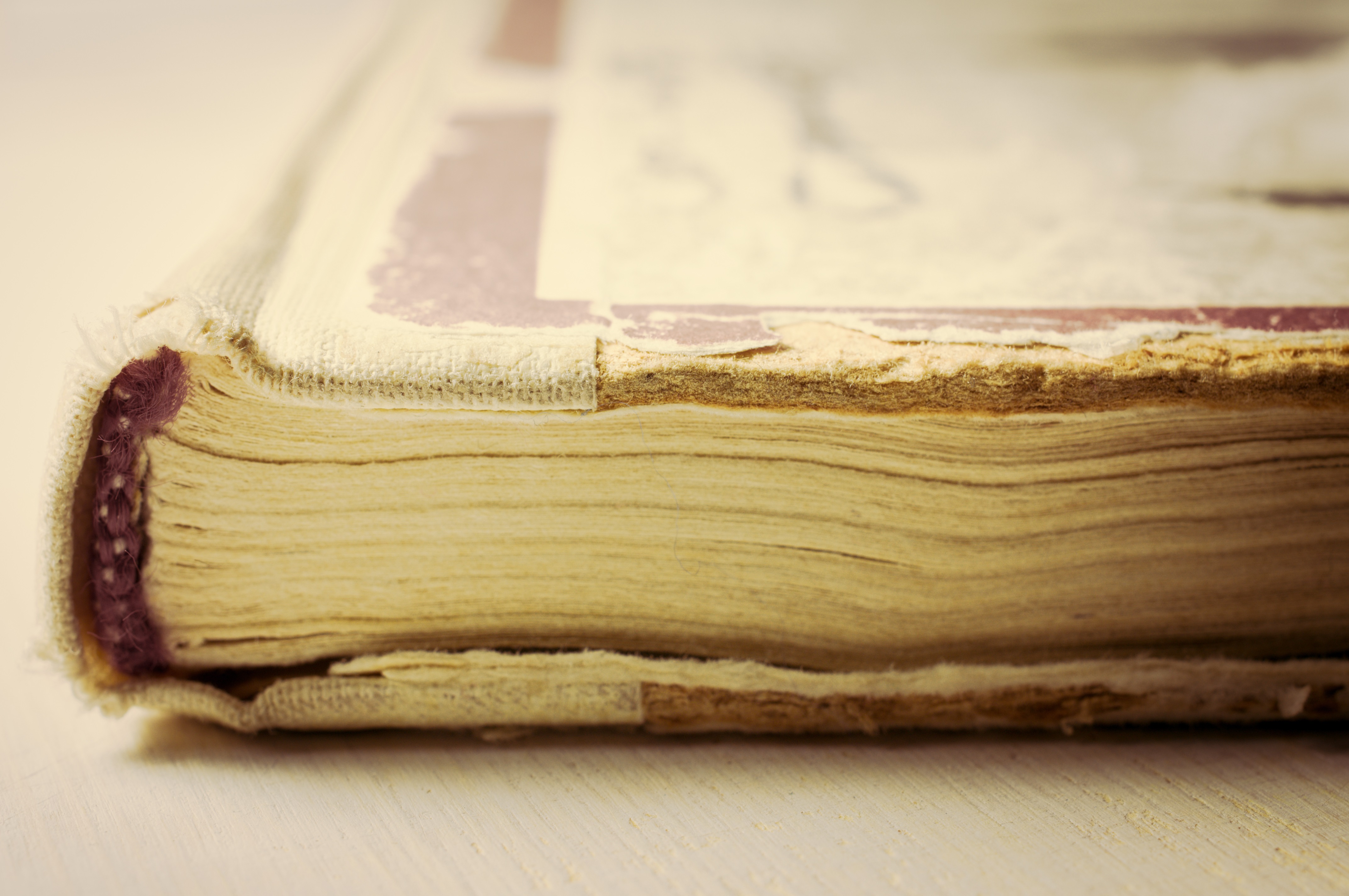 Close-up of an antique cookbook with faded pages of white and touches of red in the design.