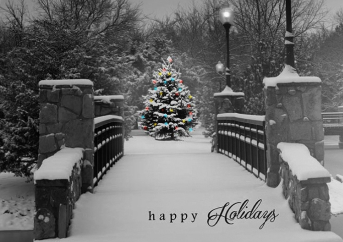This dreamy holiday card features a black and white winter landscape on the front; the back is dark gray. Through the snowy park and across the bridge, a Christmas tree is shown illuminated with colorful Christmas lights, bringing life to the card. The message reads 'happy Holidays,' merging two unique fonts for one fashionable look.