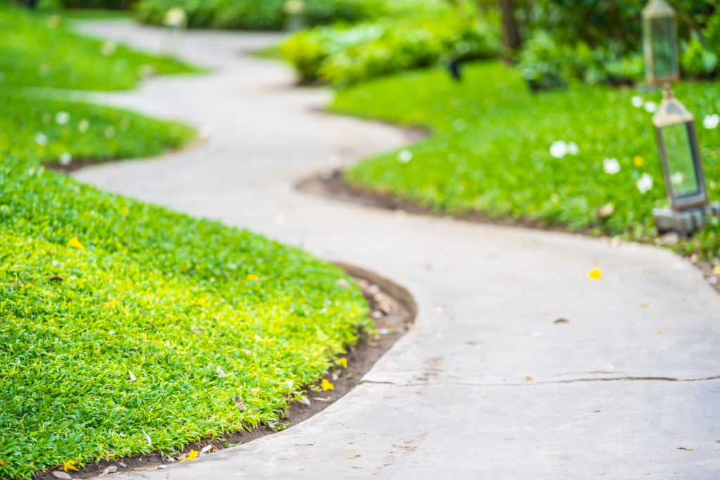 Walk or running path way in the garden