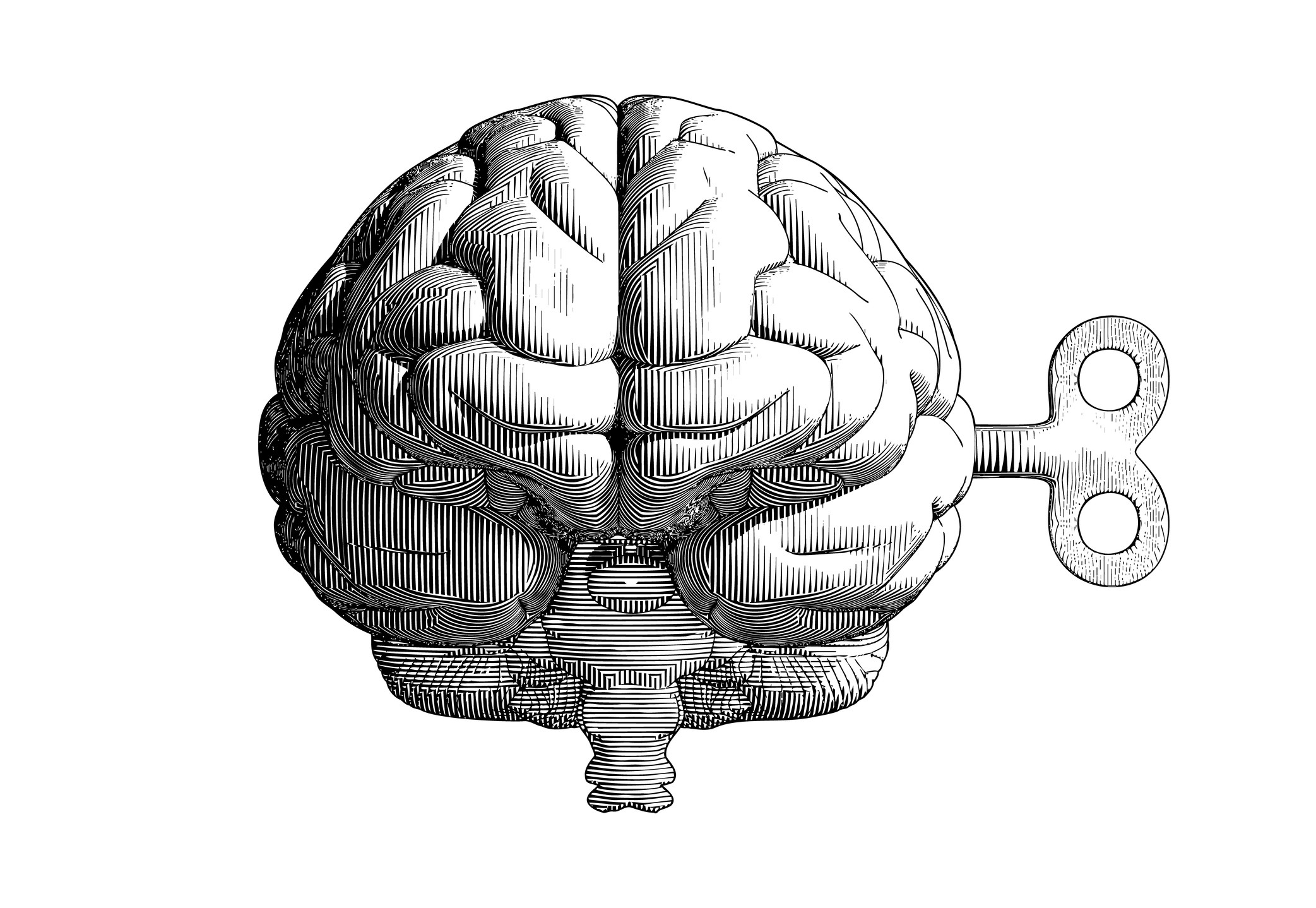 Monochrome vintage engraving drawing human brain with wind up key in front camera view illustration isolated on white background