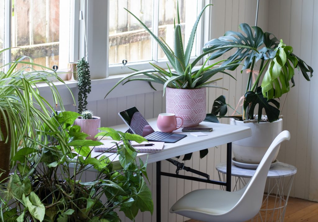 Desk table and chair interior with laptop computer and potted plants